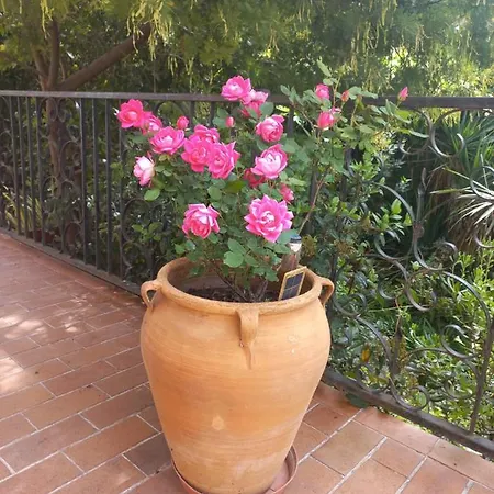 Проживание в семье Dans Jardin